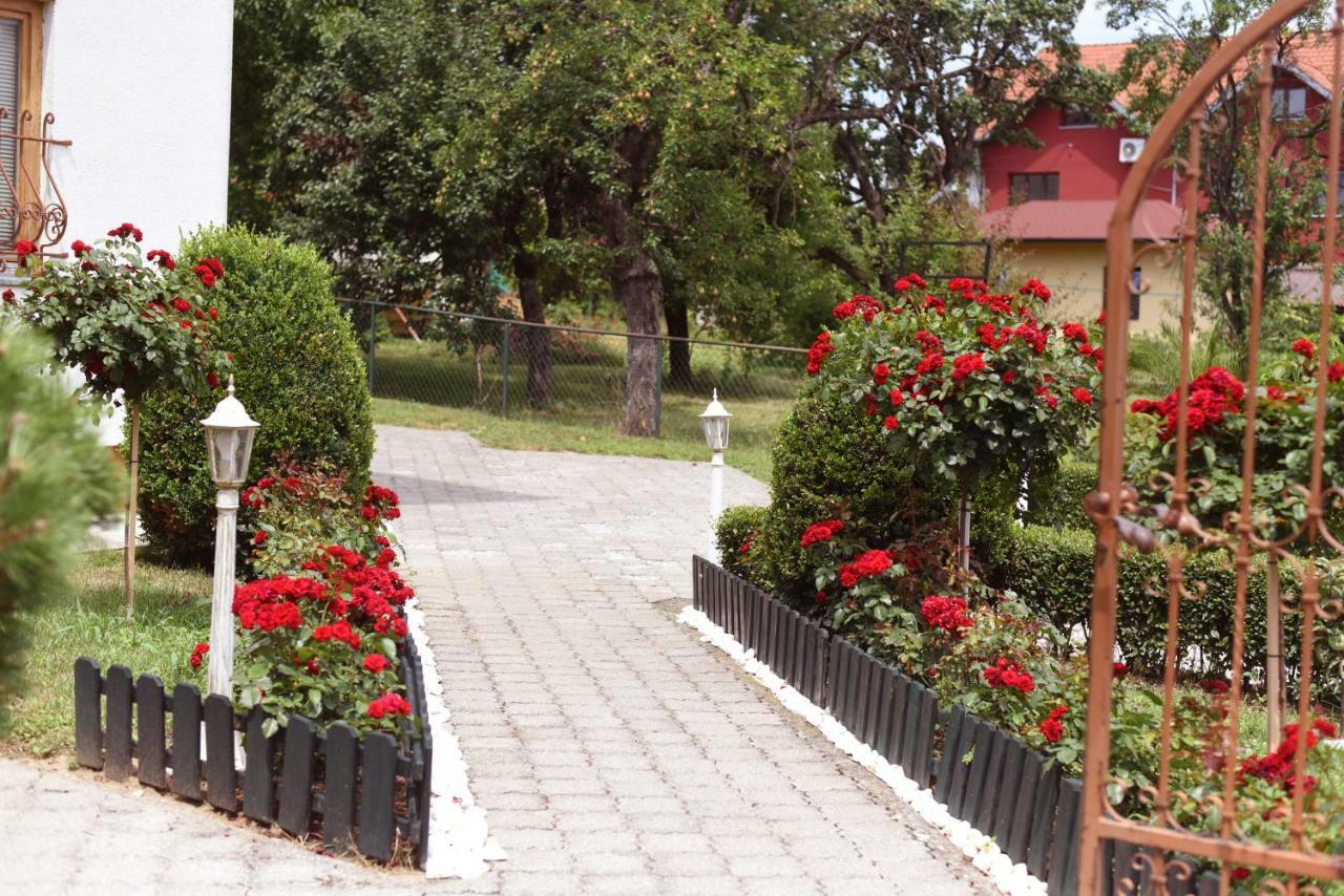 Apartmani Boss Vrnjačka Banja Εξωτερικό φωτογραφία